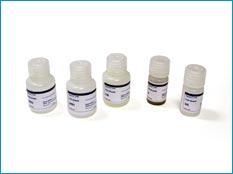 PAD BEADS PROTEIN AGGREGATION KIT CONTENTS