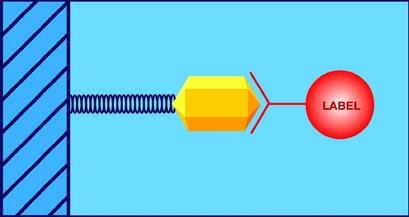 Microsens Seprion Ligand Technology